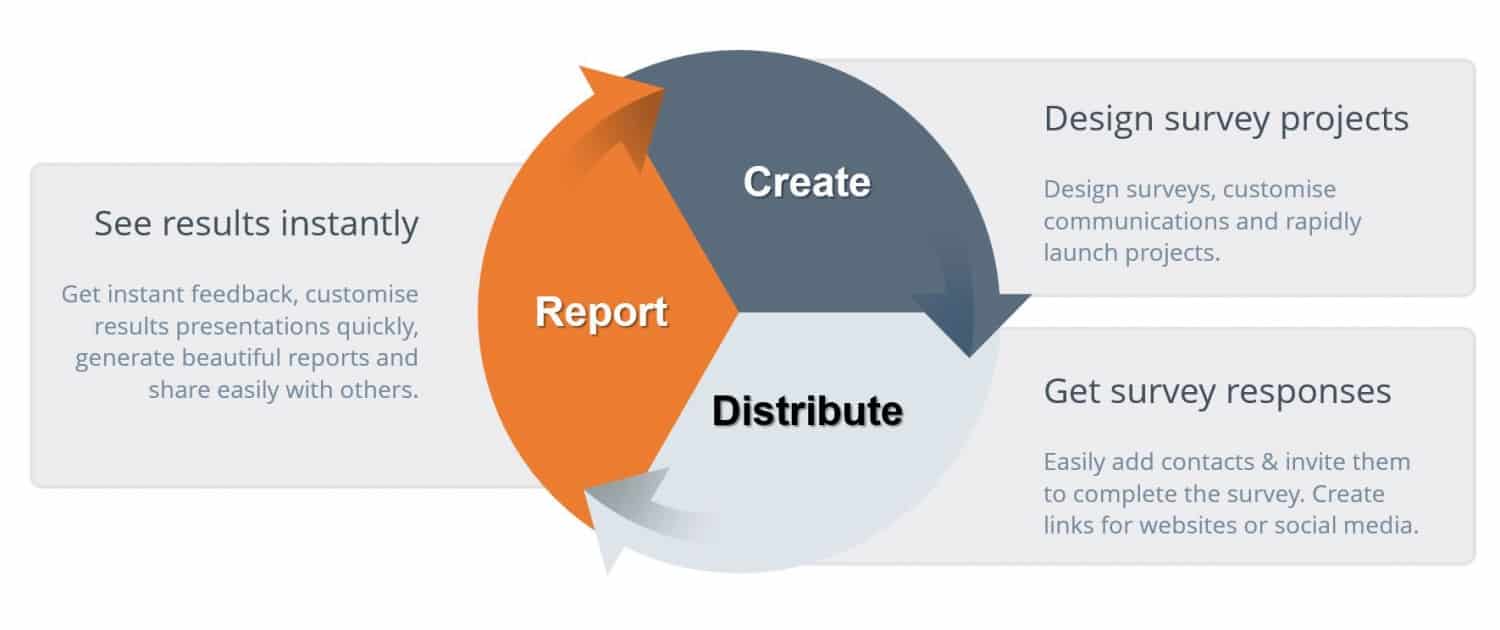 Survey Project Steps For Success | Spark Chart Survey Software