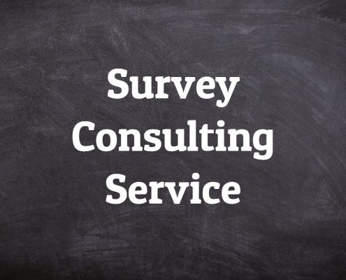 Survey Consulting Service